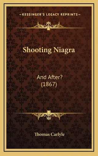 Shooting Niagara