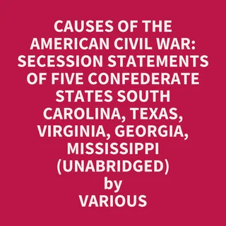 Causes Of The American Civil War