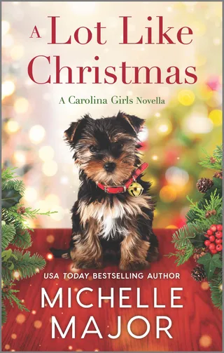 Lot Like Christmas