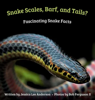 Snake Scales, Barf, and Tails? Fascinating Snake Facts