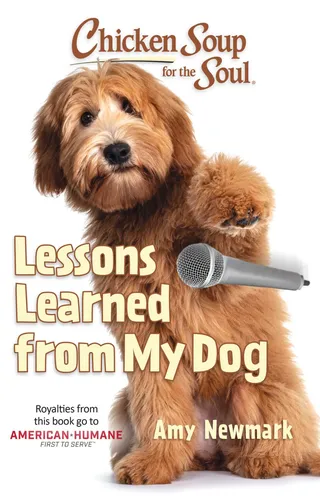 Lessons Learned from My Dog