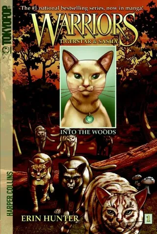 Warriors Tigerstar and Sasha #1
