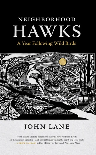 Neighborhood Hawks