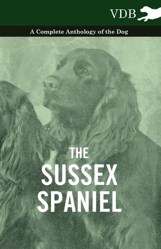 The Sussex Spaniel