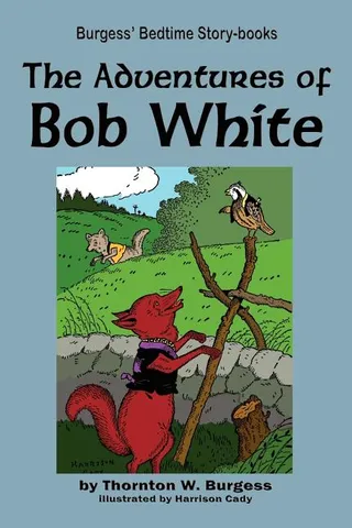 The Adventures Of Bob White