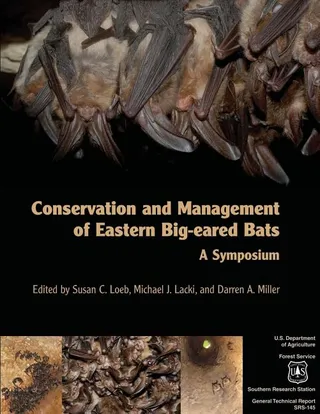 Conservation and Management of Eastern Big eared Bats
