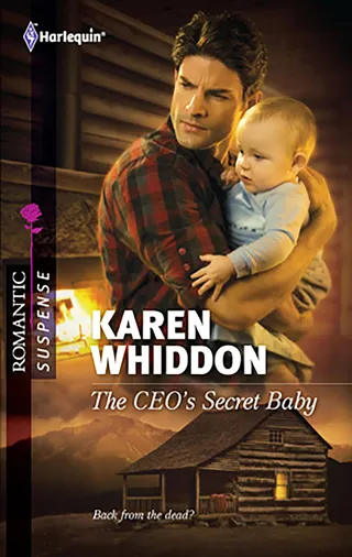 CEO's Secret Baby