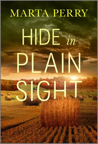 Hide in Plain Sight