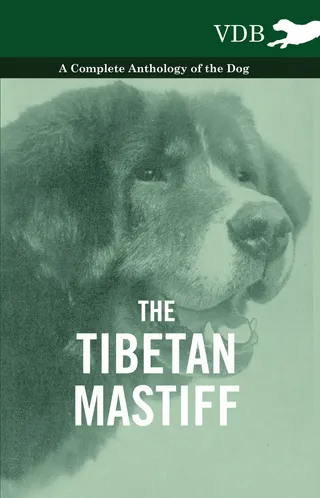 The Tibetan Mastiff