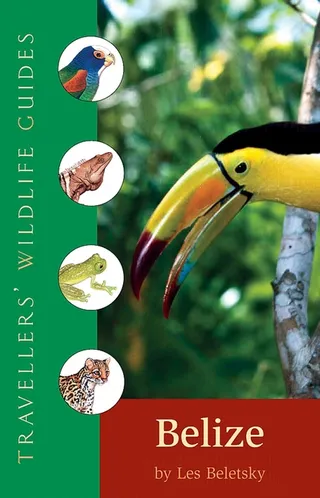 Belize & Northern Guatemala