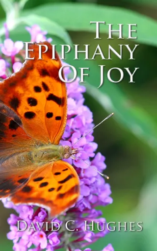 Epiphany of Joy