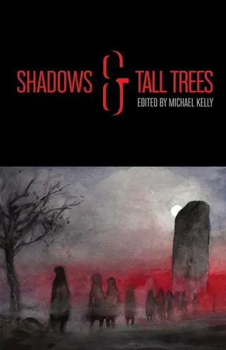 Shadows & Tall Trees