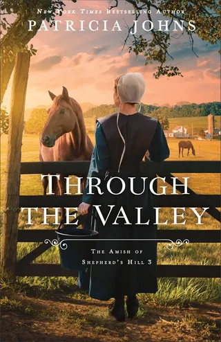 Through the Valley (The Amish of Shepherd's Hill Book #3)