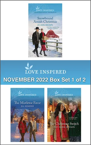 Love Inspired November 2022 Box Set