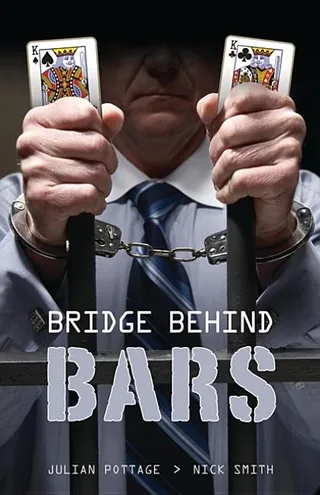 Bridge Behind Bars