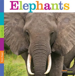 Seedlings: Elephants