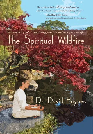 Spiritual Wildfire
