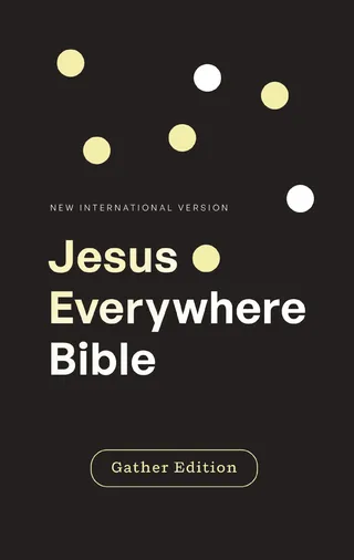 NIV Jesus Everywhere Outreach Bible