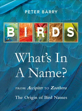 Birds What's in a Name?