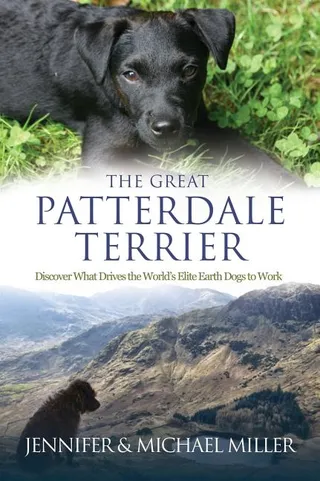 The Great Patterdale Terrier