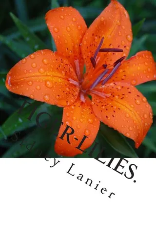 Tiger-Lilies