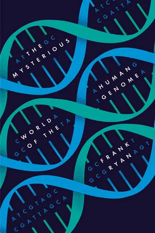 Mysterious World of the Human Genome