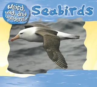 Sea Birds